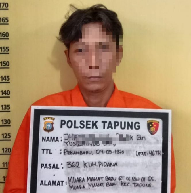 
 Curi 10 Ribu Biji Batako, Pria ini Ditangkap Polisi
