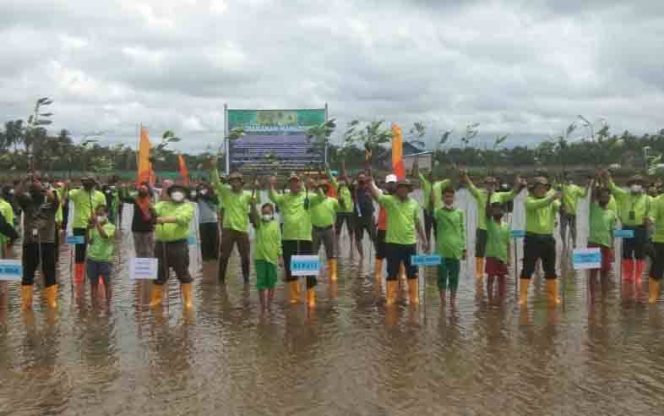 
 Pemkab Sukamara dan BRGM Rehabilitasi Mangrove di Desa Sungai Pasir, Pantai Lunci